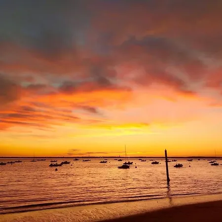Jolie Maison Paisible, Avec Jardinet Et Parking * Gujan-Mestras
